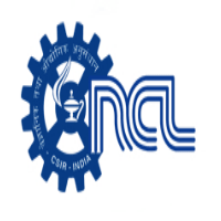 NCL Pune Recruitment