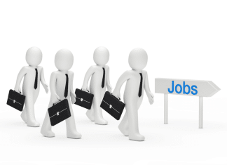 Why Government Jobs Are Important