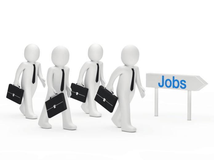 Why Government Jobs Are Important